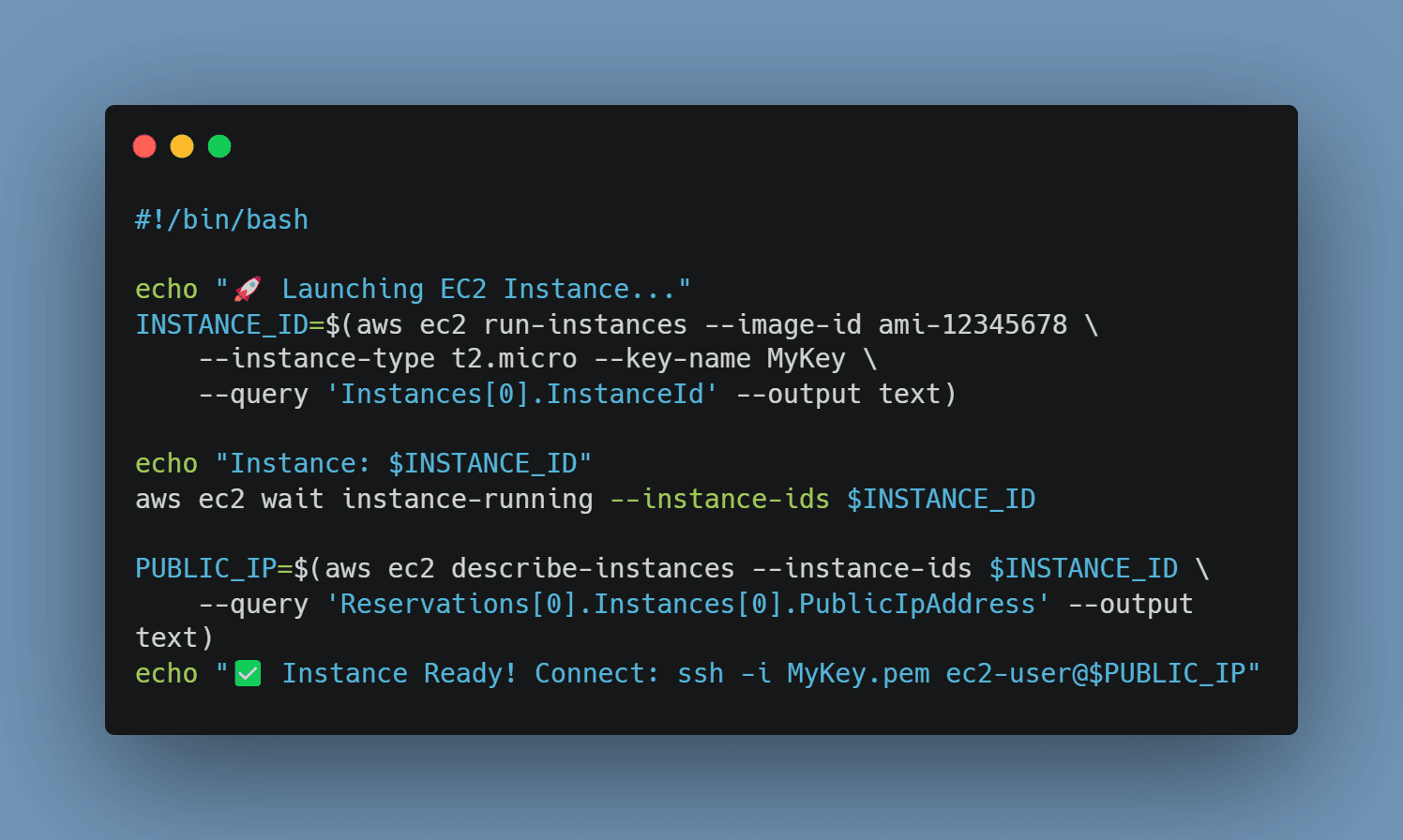 Networking Deep Dive & Bash Scripting Adventures